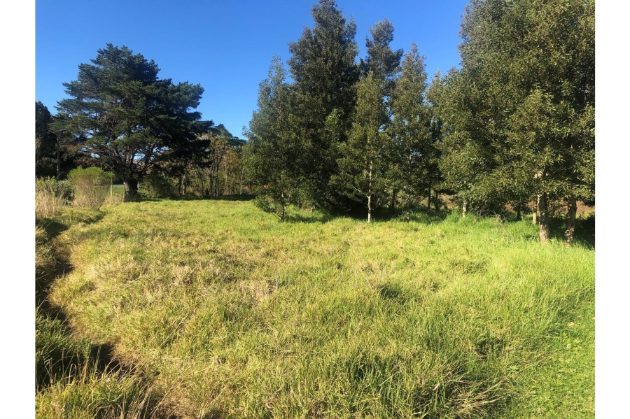 0 Bedroom Property for Sale in Old Place Western Cape